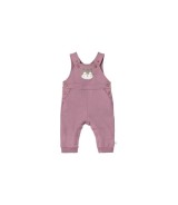 2-tlg Set Latzhose mit Shirt Eichhörnchen