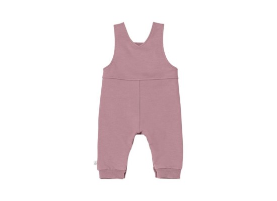 2-tlg Set Latzhose mit Shirt Eichhörnchen