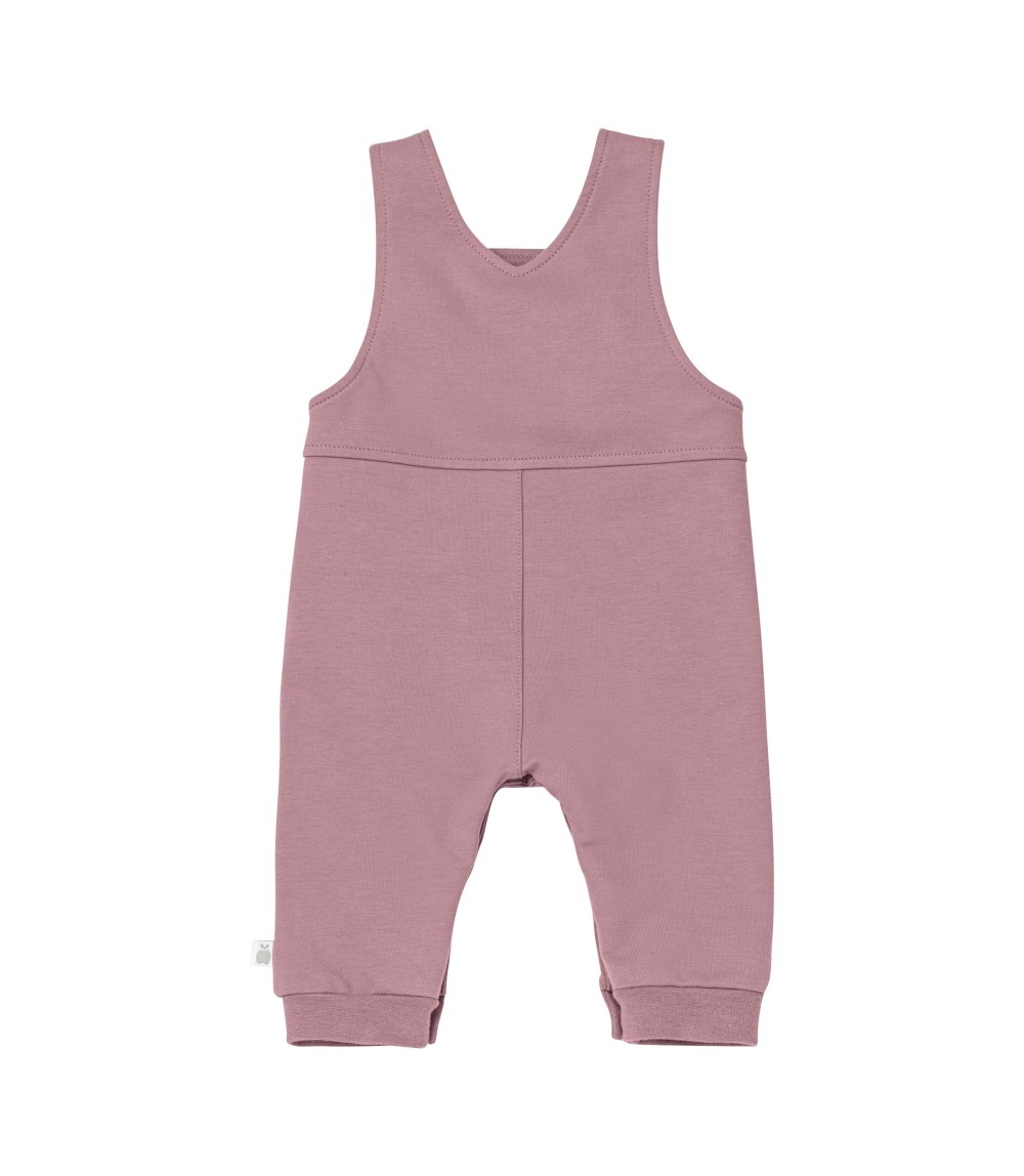 2-tlg Set Latzhose mit Shirt Eichhörnchen