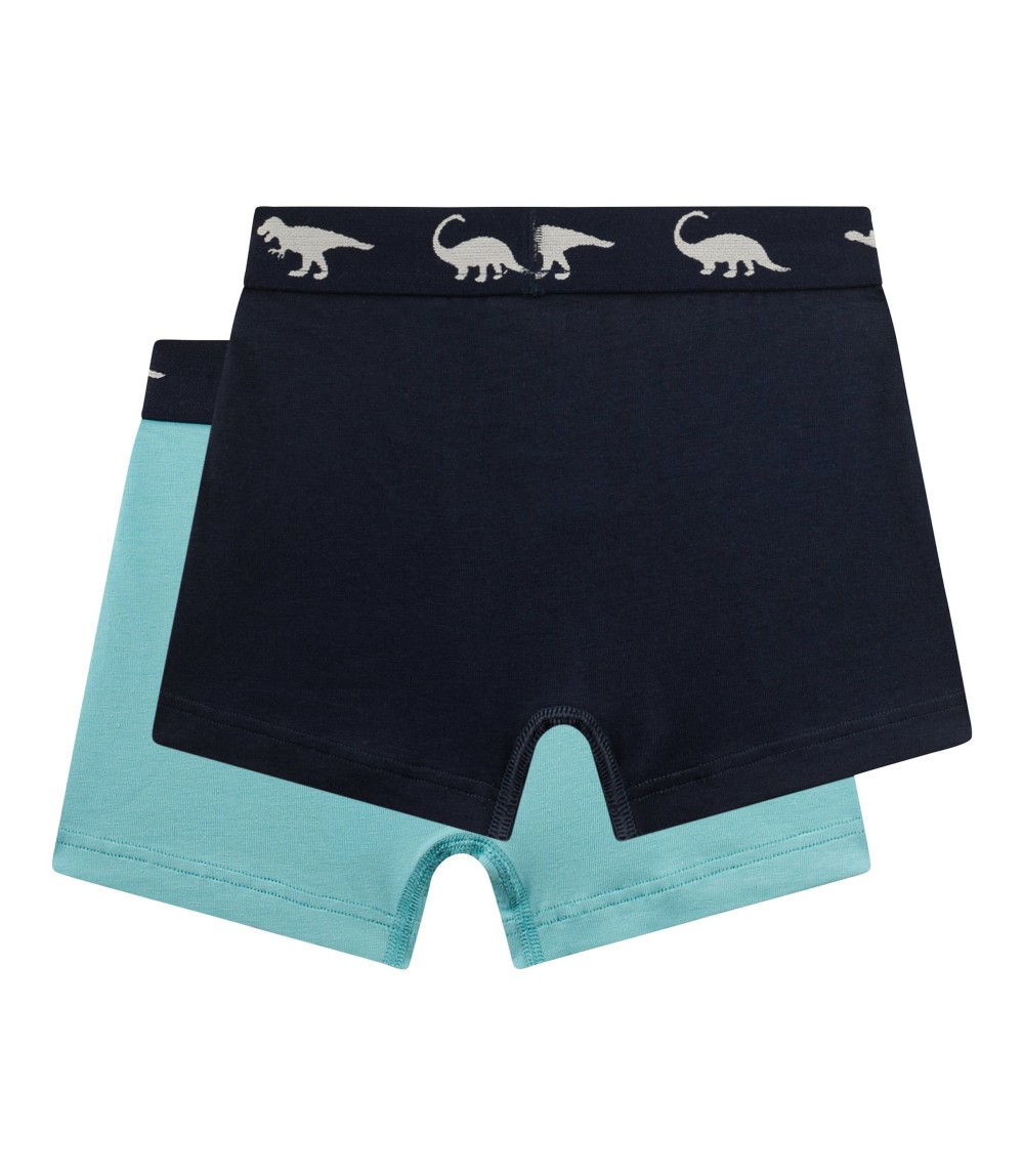 2er-Pack Boxershorts Dinos