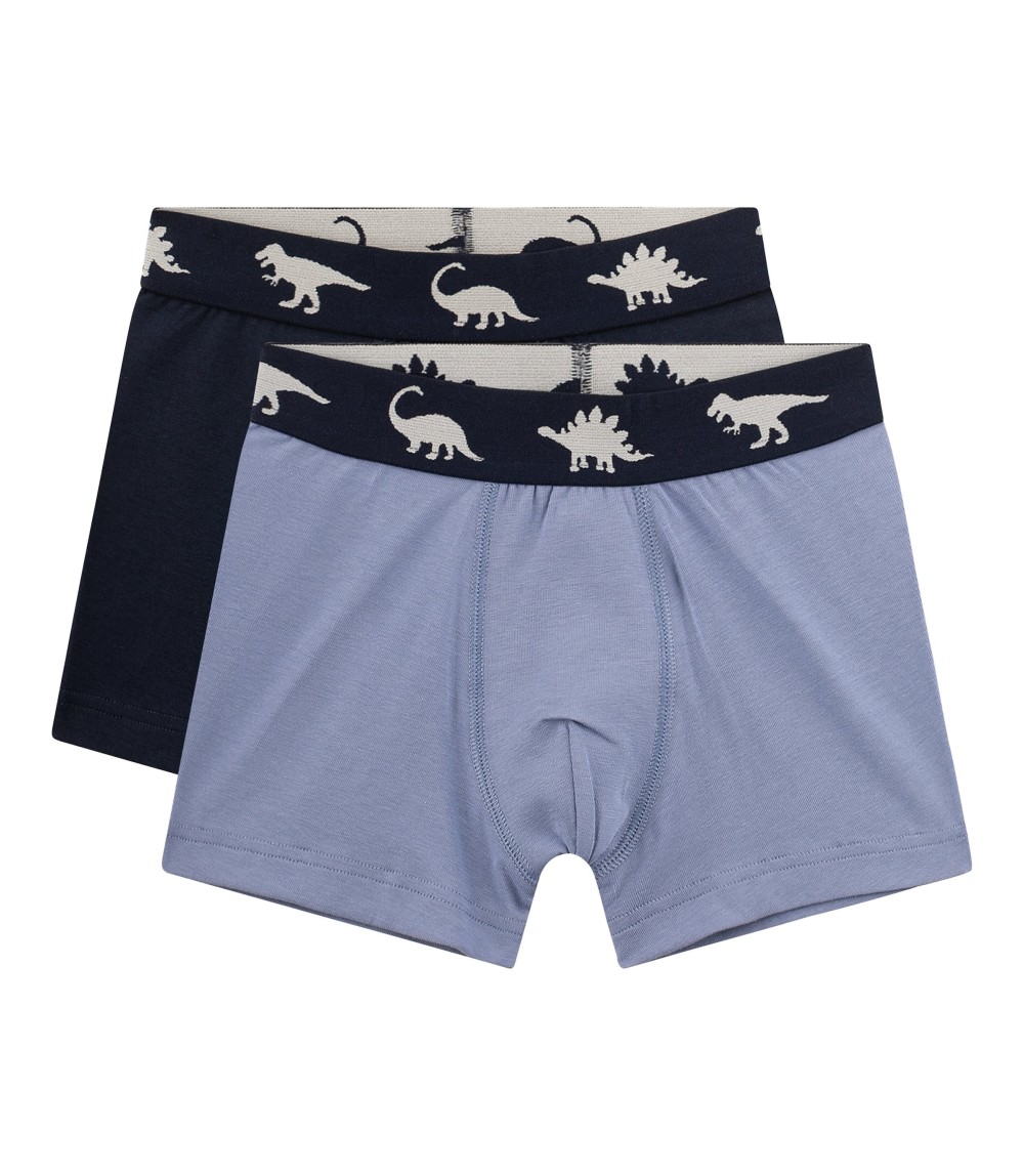 2er-Pack Boxershorts Dinos