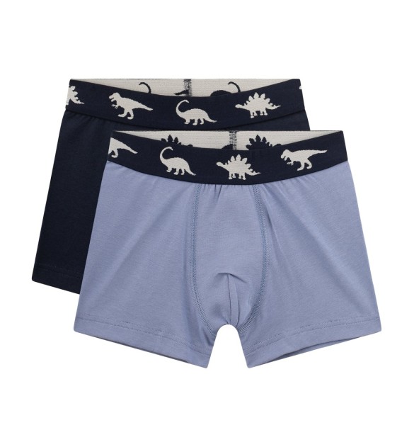 2er-Pack Boxershorts Dinos