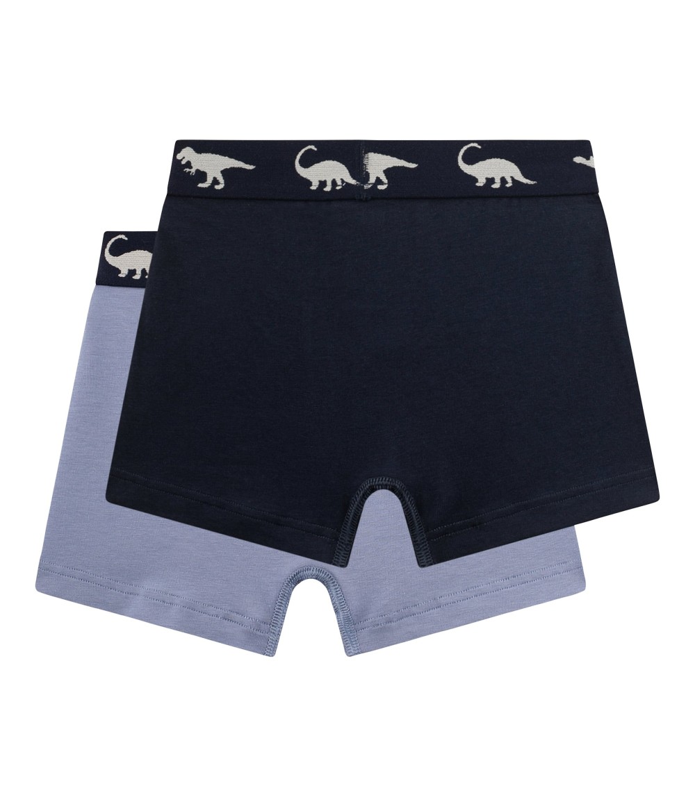 2er-Pack Boxershorts Dinos