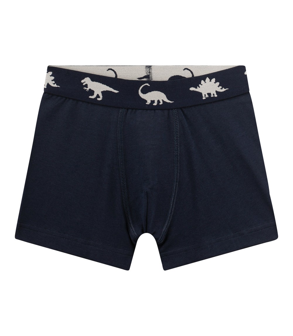 2er-Pack Boxershorts Dinos