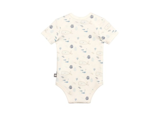 3er-Pack Bodys kurzarm Ocean