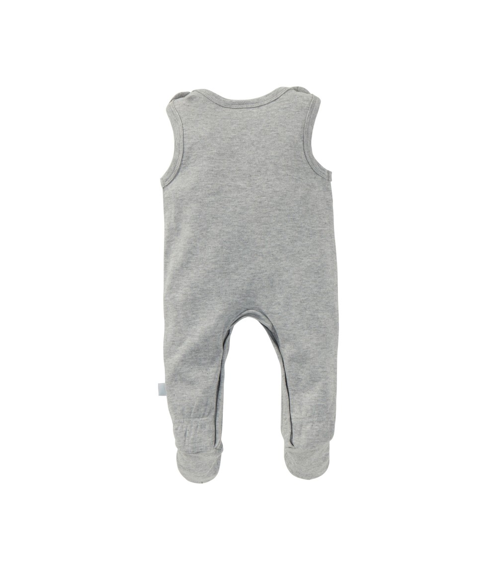 Strampler-Set Kuh und Maus