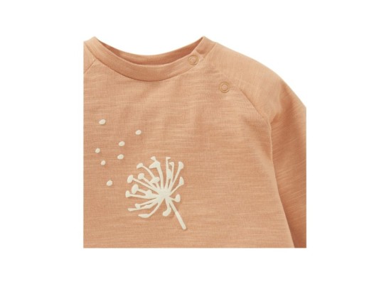 Raglanshirt langarm Pusteblume