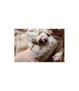 Ajour-Body langarm Bubikragen Rosen