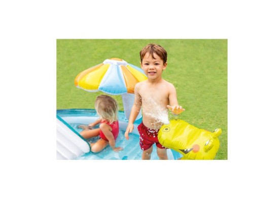 Pool Playcenter Gator