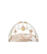 Spielbogen mit 3-D-Activity-Decke Teddy Rainbow