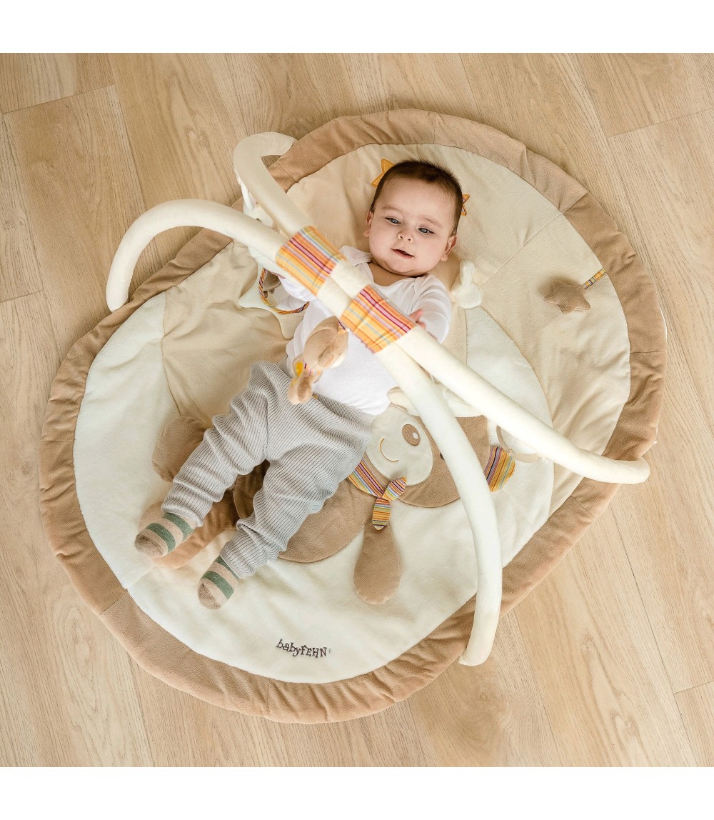 Spielbogen mit 3-D-Activity-Decke Teddy Rainbow