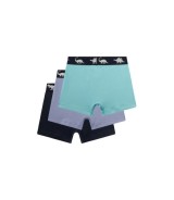 3er-Pack Boxershorts Dinos