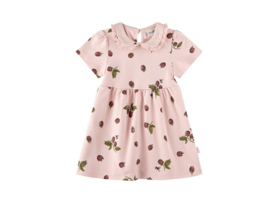 Kleid kurzarm Bubikragen Himbeeren