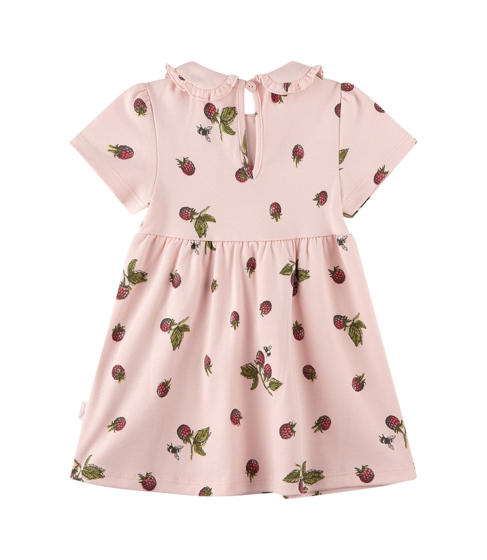 Kleid kurzarm Bubikragen Himbeeren