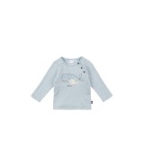 Raglanshirt langarm Wale