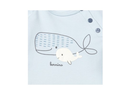 Raglanshirt langarm Wale