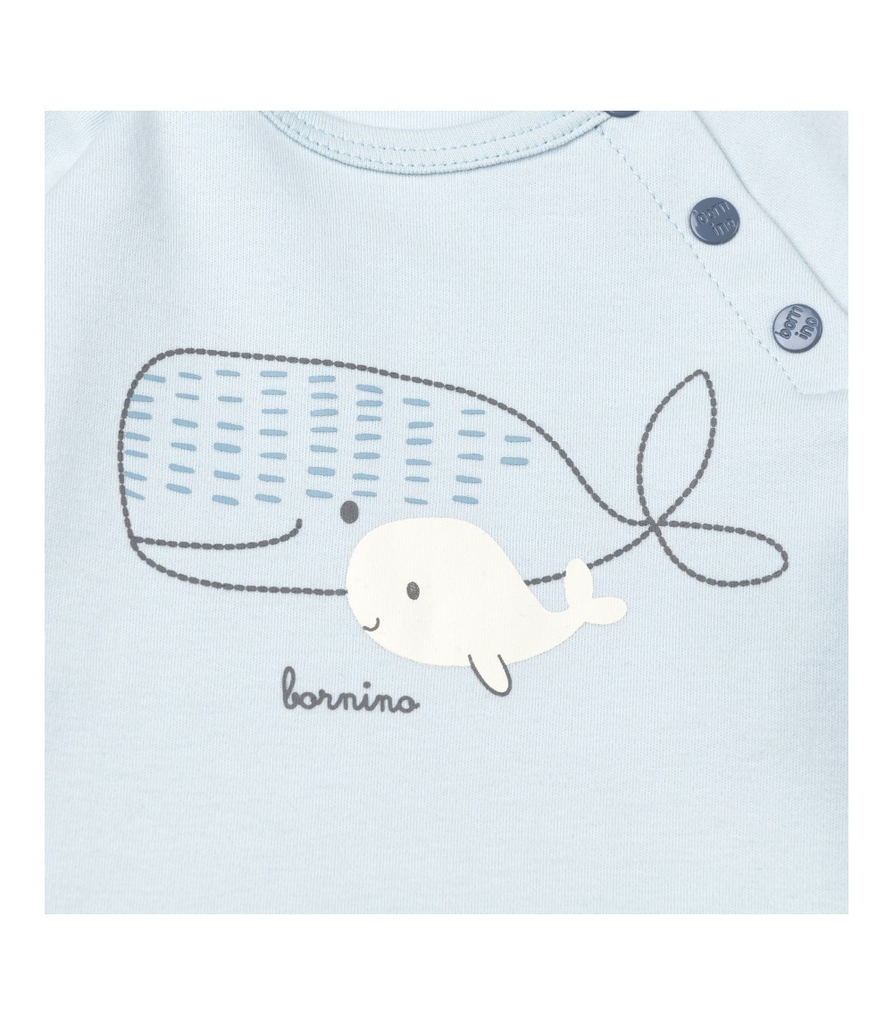 Raglanshirt langarm Wale