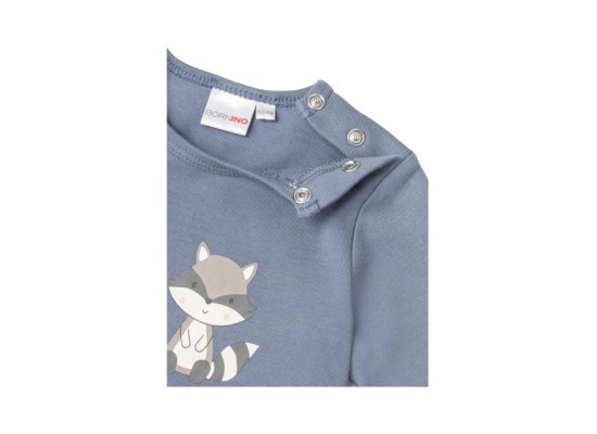 Shirt langarm Waschbär