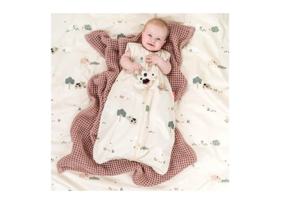 Ganzjahresschlafsack 2.5 TOG