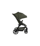 Buggy Avus 2