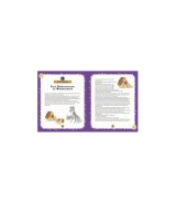 Disney Vorlesebuch Eine frohe Disney Weihnacht