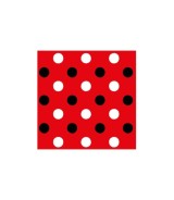 Pappbilderbuch Babys erstes Kontrastbuch