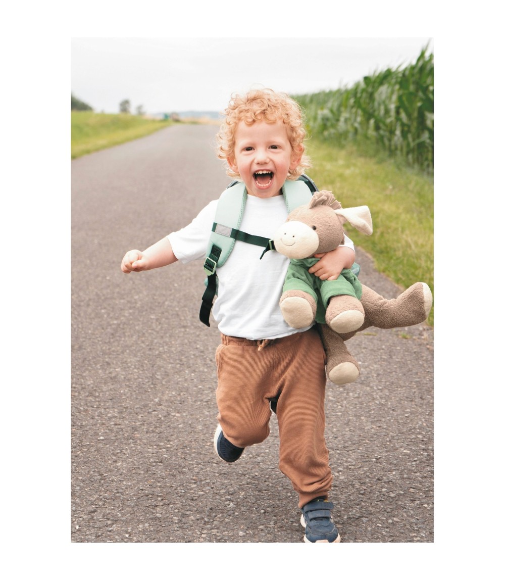 Kuscheltier Sternchen Esel Emmilius 35cm