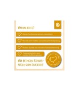 Steckenpferd Holz Brownie