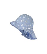 Sonnenhut Gänseblümchen