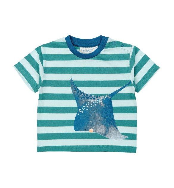 T-Shirt Ringel Rochen