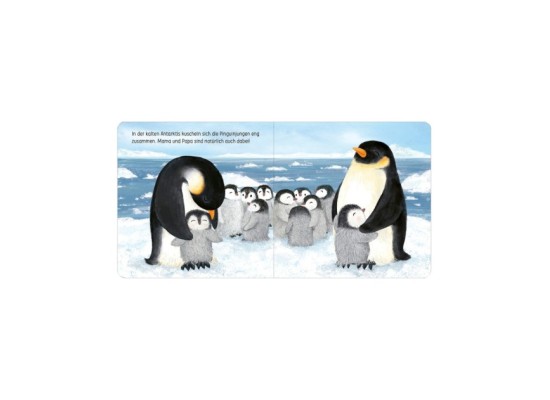 Pappbilderbuch Komm kuscheln, kleine Robbe!