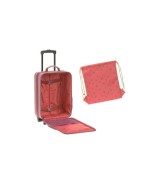 Kindertrolley Adventure