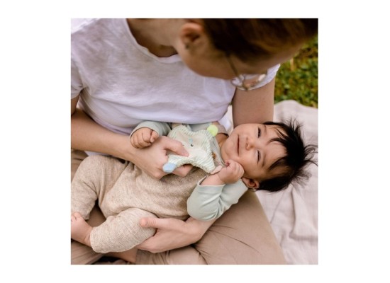 Greifling Knister-Seestern Meereskinder