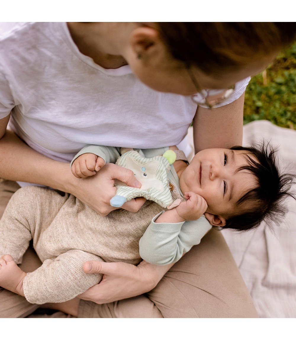 Greifling Knister-Seestern Meereskinder