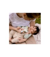 Greifling Knister-Seestern Meereskinder