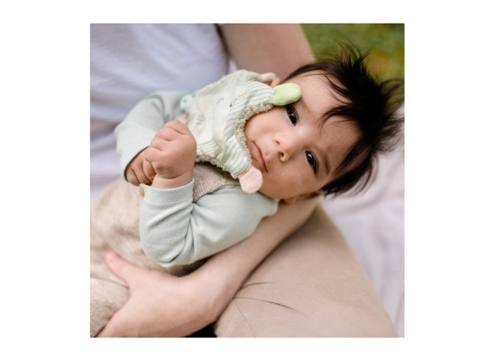 Greifling Knister-Seestern Meereskinder