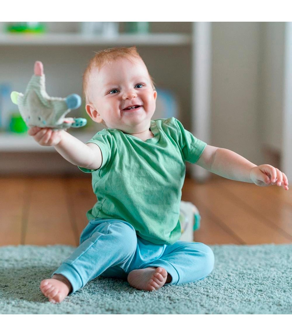 Greifling Knister-Seestern Meereskinder