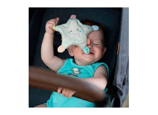 Greifling Knister-Seestern Meereskinder