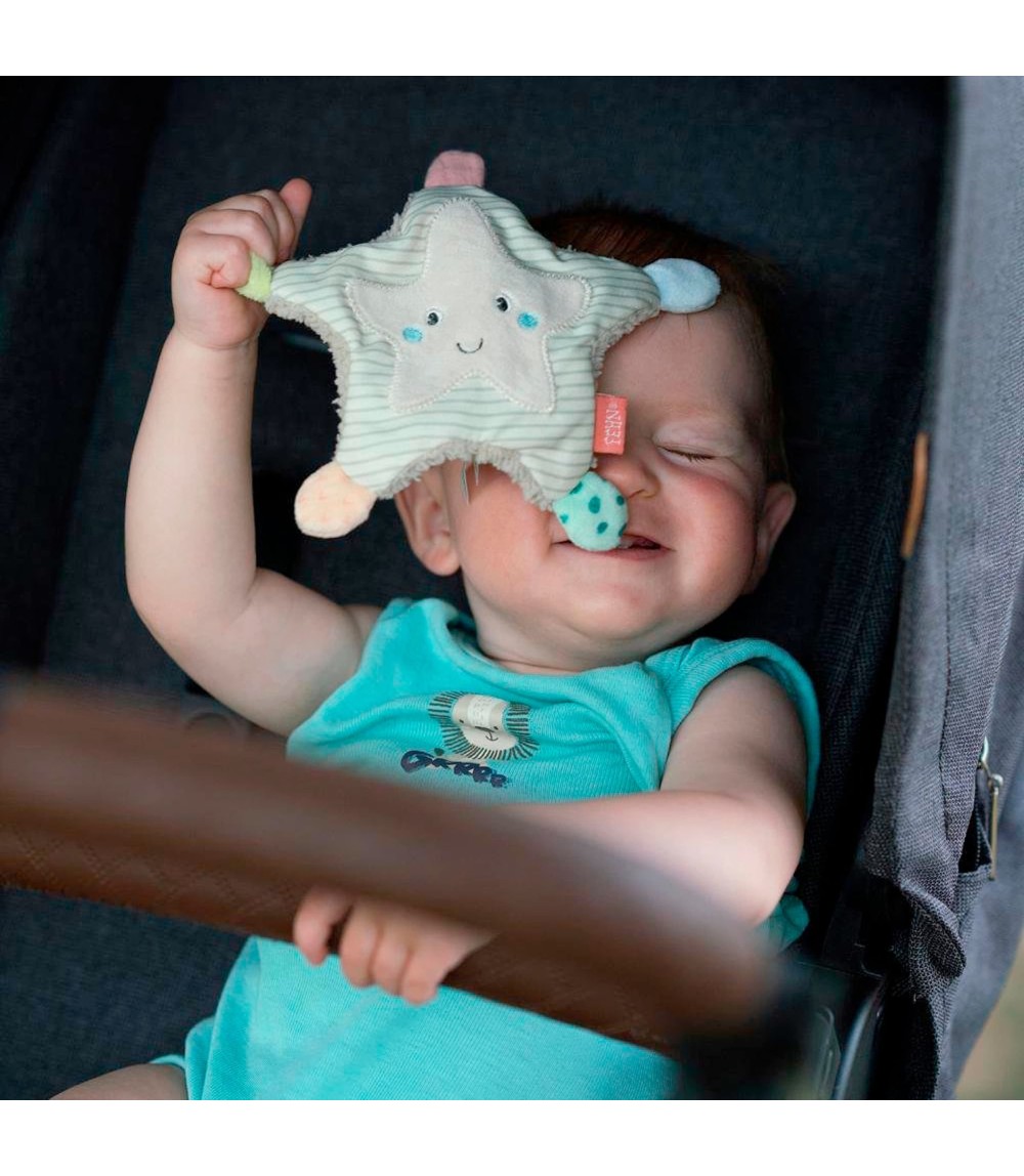 Greifling Knister-Seestern Meereskinder