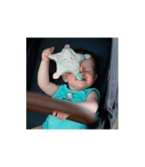 Greifling Knister-Seestern Meereskinder