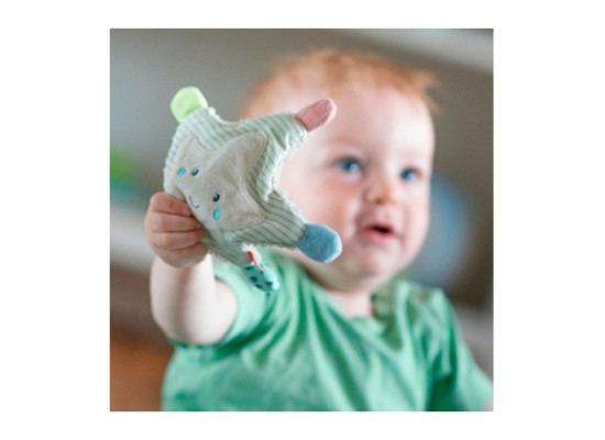 Greifling Knister-Seestern Meereskinder