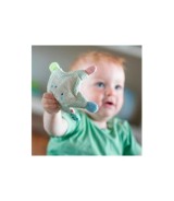 Greifling Knister-Seestern Meereskinder