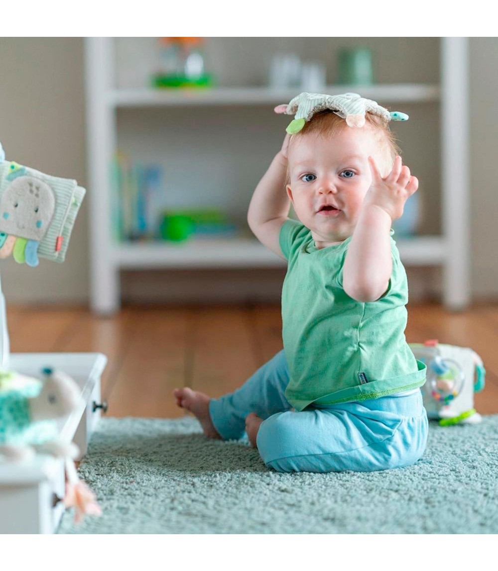 Greifling Knister-Seestern Meereskinder