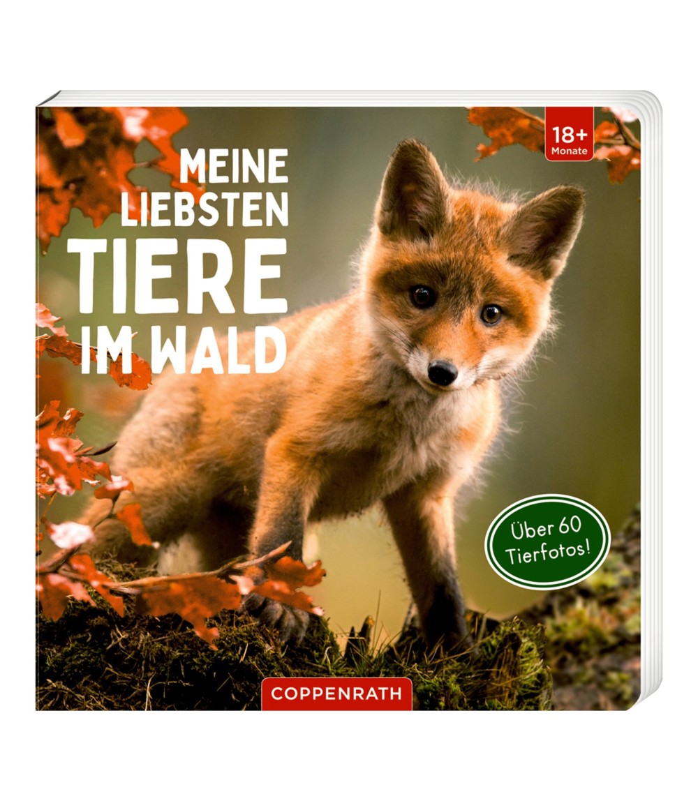 Pappbilderbuch Meine liebsten Tiere im Wald