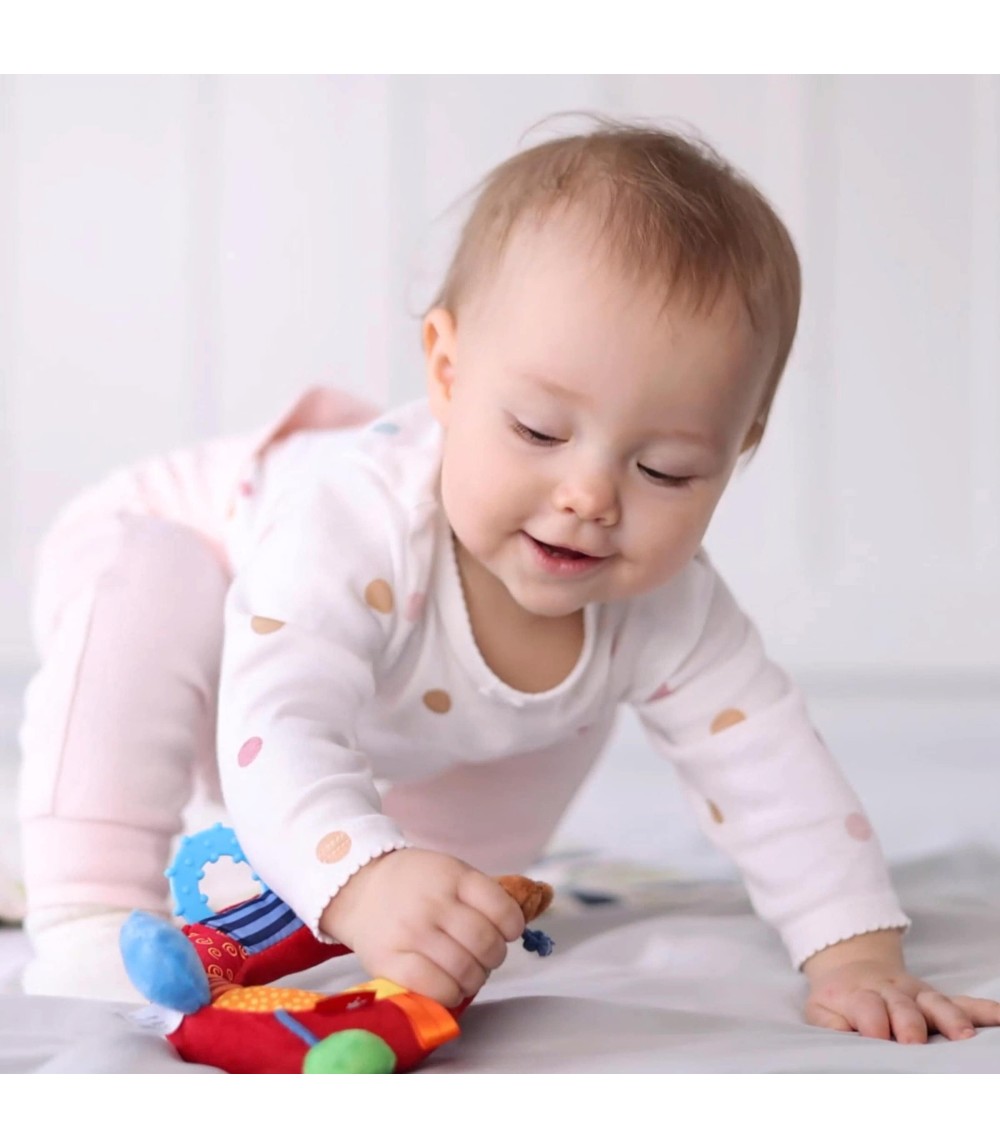 Greifling Bär Aktiv-Ring PlayQ