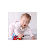 Greifling Bär Aktiv-Ring PlayQ