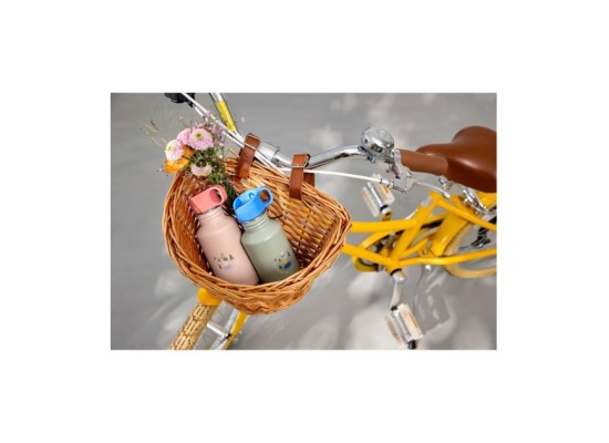 Trinkflasche Sunny Explorer aus Edelstahl, 500 ml