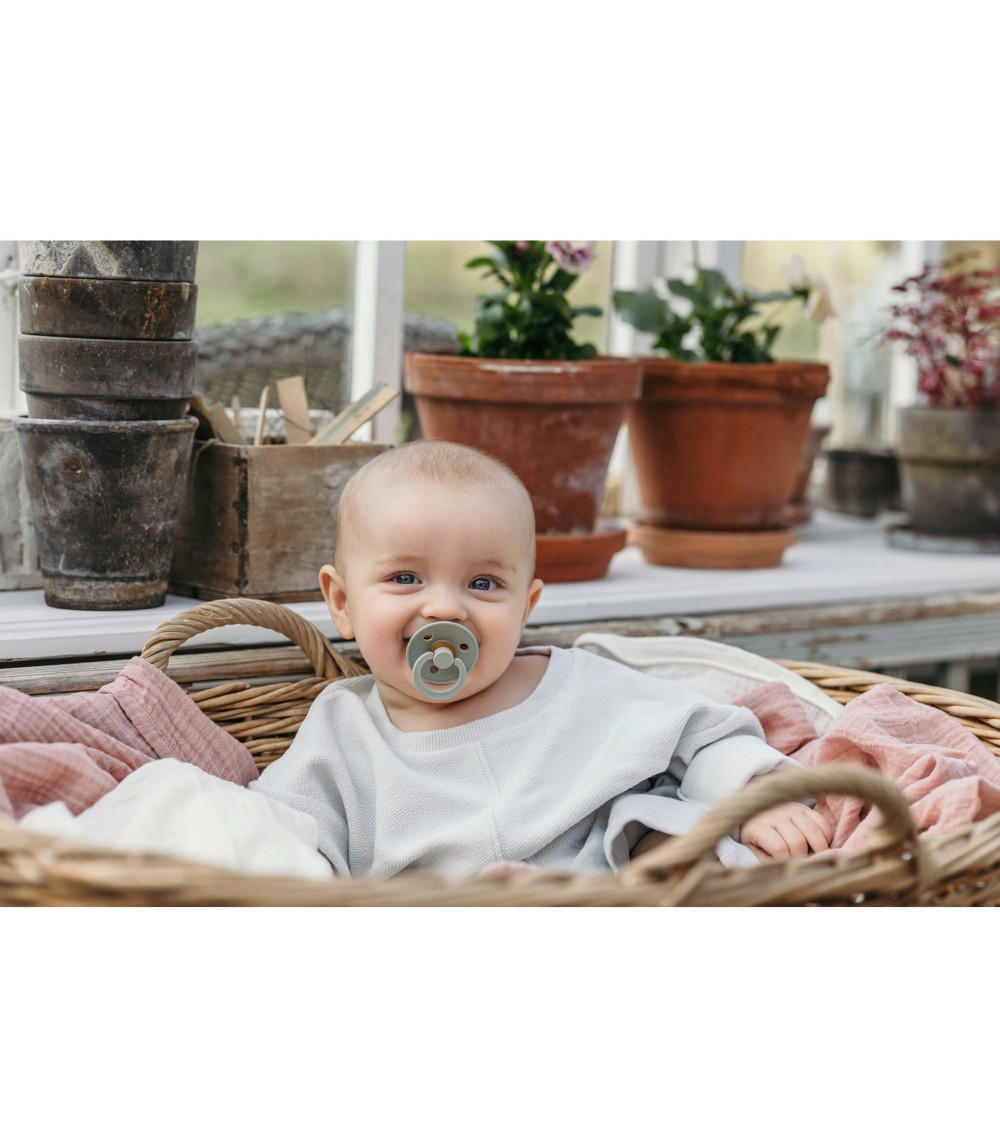 2er-Pack Colour Schnuller Latex, symetrisch, ab 6M