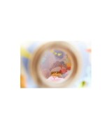 Sortierbox Unterwasserwelt