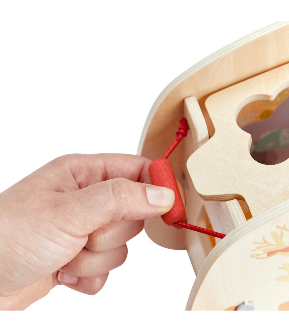 Sortierbox Unterwasserwelt